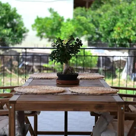Sunfree House  Zacharo